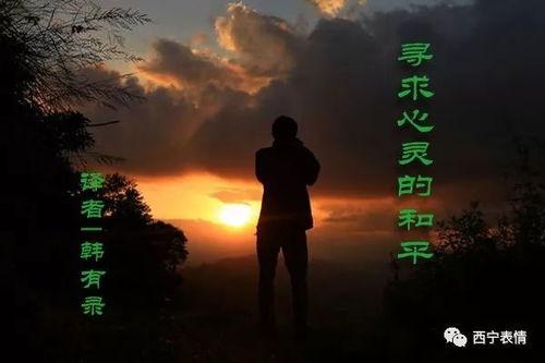 寻求和平,探寻世界和谐共生的未来愿景