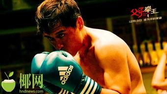 父子拳王,传承与辉煌的拳击传奇