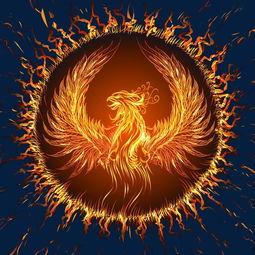 火凤凰,涅槃重生的传奇之旅