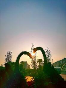 晨光正好,探寻新的一天美好启程